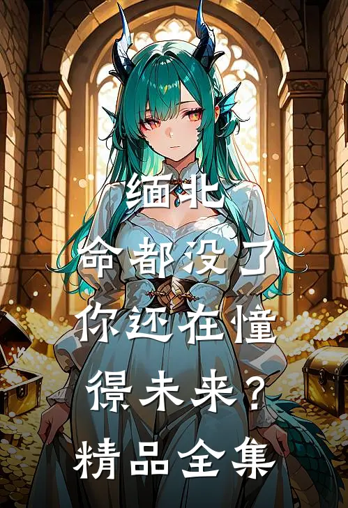 缅北：命都没了，你还在憧憬未来？精品全集