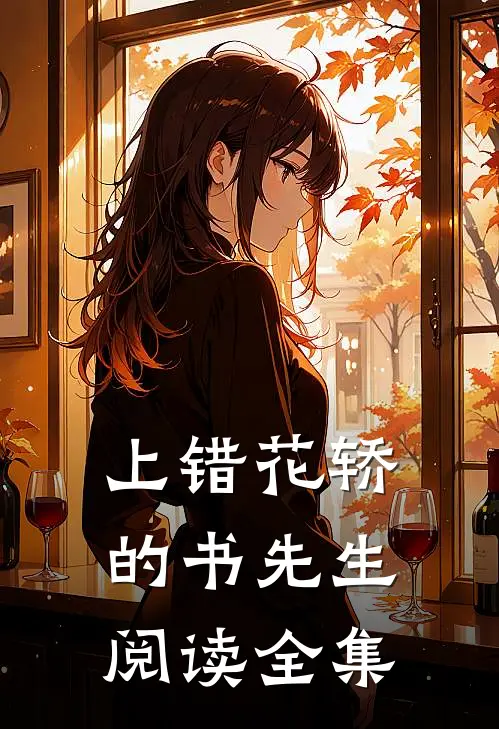 上错花轿的书先生阅读全集