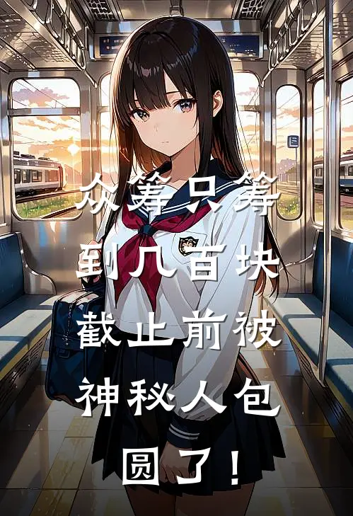 众筹只筹到几百块，截止前被神秘人包圆了！
