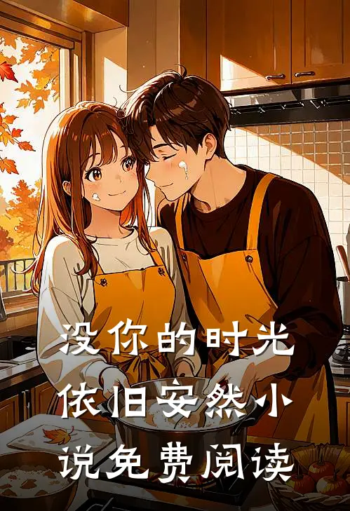 没你的时光，依旧安然小说免费阅读