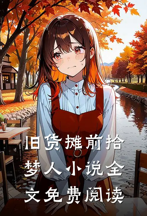 旧货摊前拾梦人小说全文免费阅读