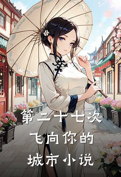 第二十七次飞向你的城市小说