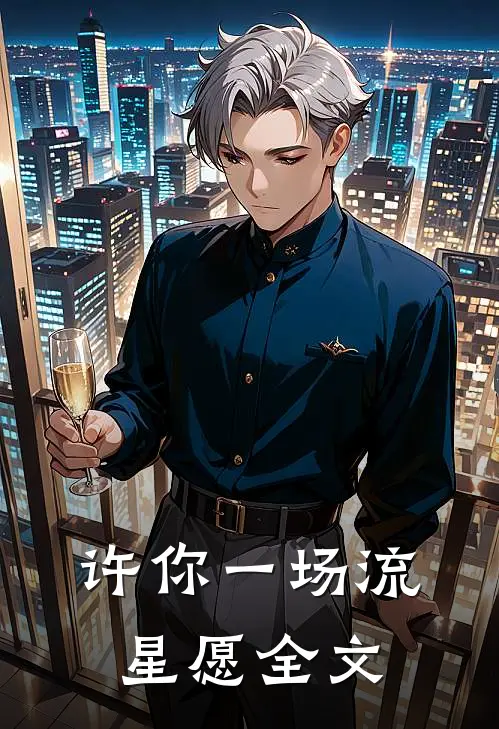 许你一场流星愿全文