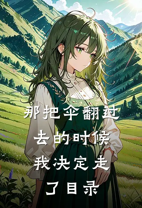 那把伞翻过去的时候，我决定走了目录