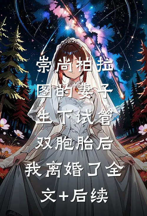 崇尚柏拉图的妻子生下试管双胞胎后，我离婚了全文+后续