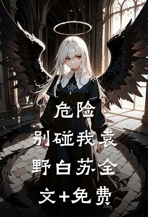 危险，别碰我袁野白苏全文+免费