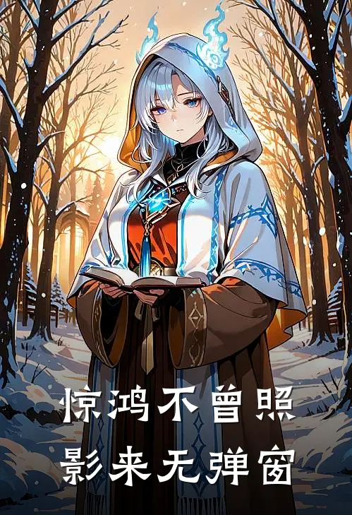 惊鸿不曾照影来无弹窗