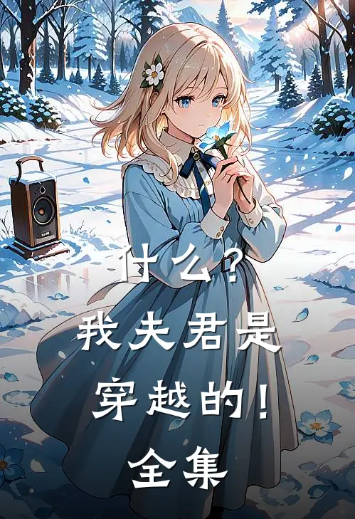 什么？我夫君是穿越的！全集