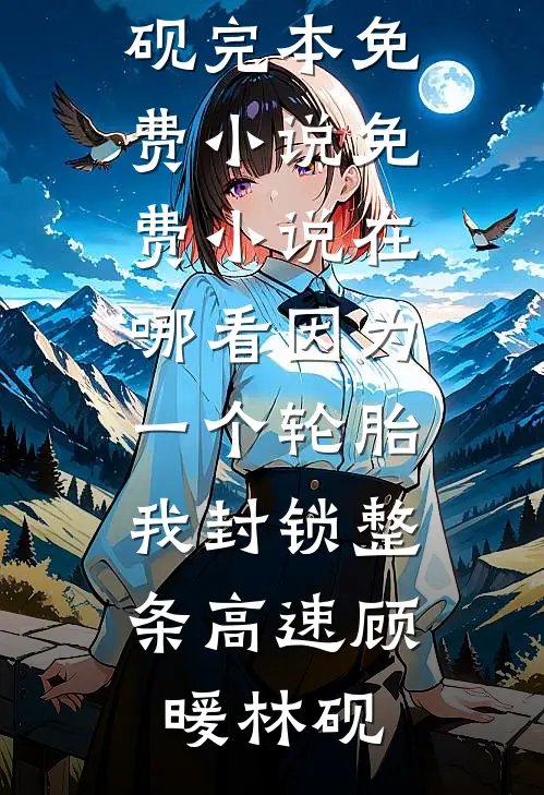 因为一个轮胎，我封锁整条高速(顾暖林砚)完本免费小说_免费小说在哪看因为一个轮胎，我封锁整条高速顾暖林砚
