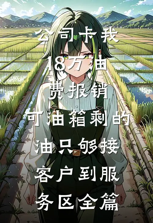 公司卡我18万油费报销，可油箱剩的油只够接客户到服务区全篇