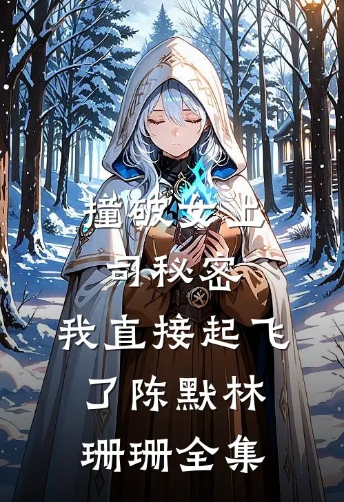 撞破女上司秘密，我直接起飞了陈默林珊珊全集