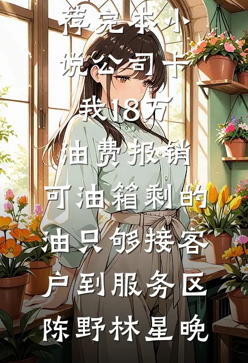 公司卡我18万油费报销，可油箱剩的油只够接客户到服务区陈野林星晚完结版小说全文免费阅读_推荐完本小说公司卡我18万油费报销，可油箱剩的油只够接客户到服务区陈野林星晚