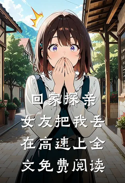 回家探亲，女友把我丢在高速上全文免费阅读