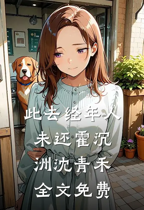 此去经年人未还霍沉洲沈青禾全文免费