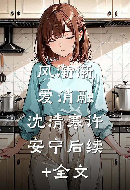 风渐渐，爱消融: 沈清寒许安宁后续+全文