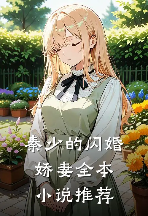 秦少的闪婚娇妻全本小说推荐