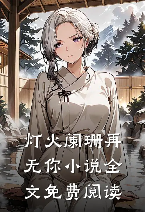 灯火阑珊再无你小说全文免费阅读