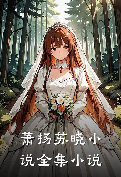 萧扬苏晓 小说全集小说