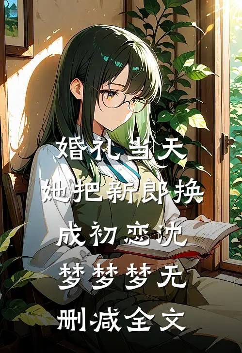 婚礼当天，她把新郎换成初恋沈梦梦梦无删减全文