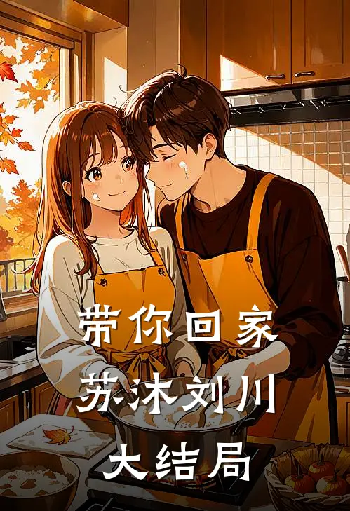带你回家苏沐刘川大结局