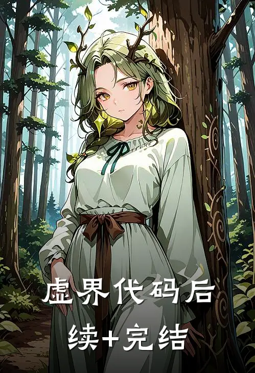 虚界代码后续+完结