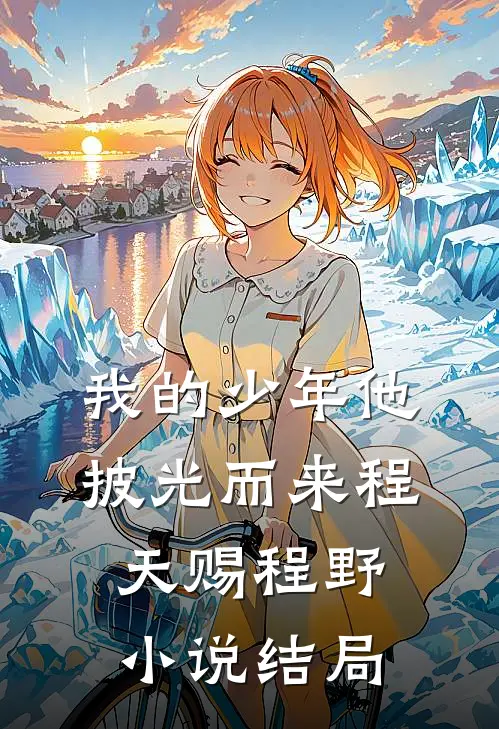 我的少年他披光而来程天赐程野小说结局