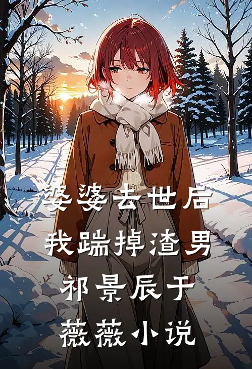 婆婆去世后，我踹掉渣男祁景辰于薇薇小说