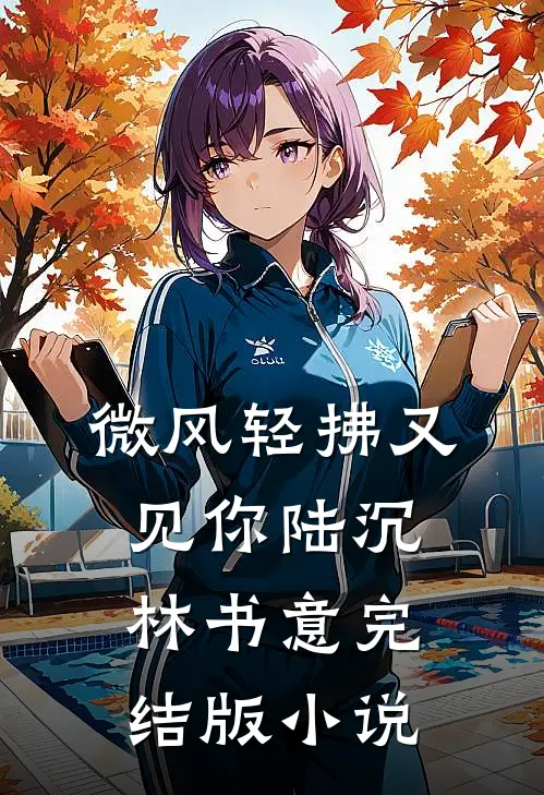 微风轻拂又见你陆沉林书意完结版小说