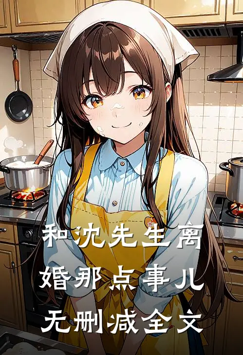 和沈先生离婚那点事儿无删减全文