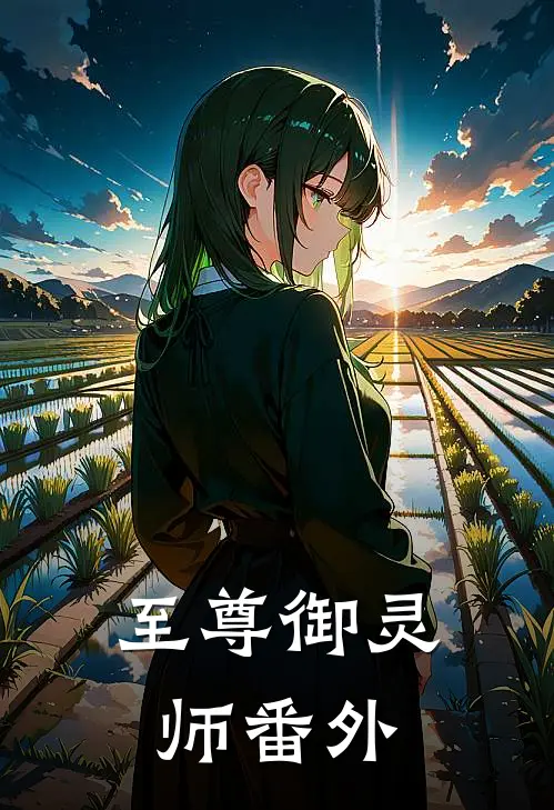 至尊御灵师 番外