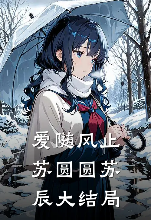 爱随风止苏圆圆苏辰大结局