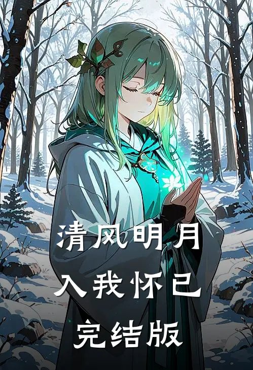 清风明月入我怀已完结版