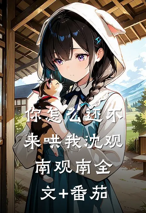 你怎么还不来哄我沈观南观南全文+番茄