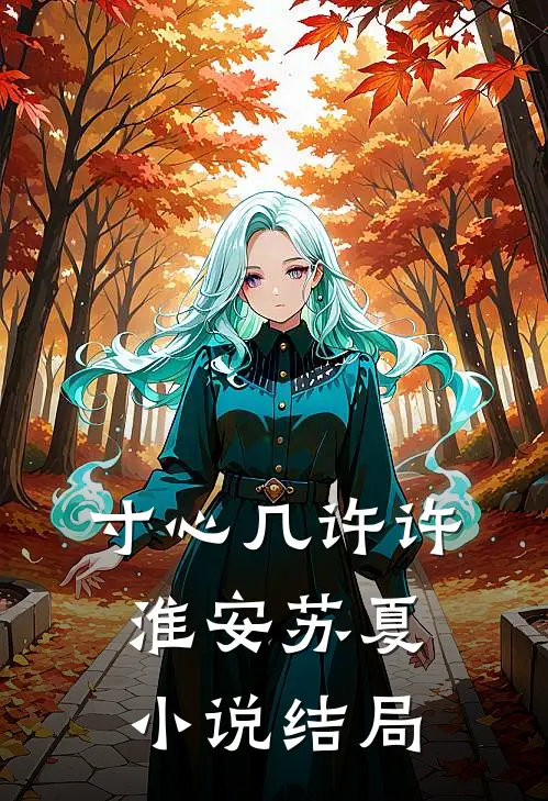 寸心几许许淮安苏夏小说结局