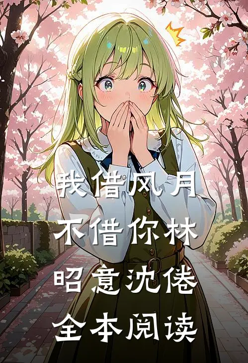我借风月不借你林昭意沈倦全本阅读