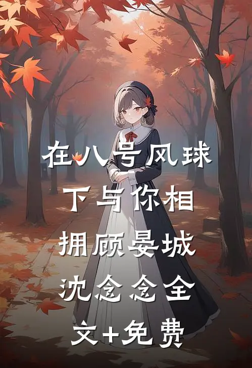 在八号风球下与你相拥顾晏城沈念念全文+免费