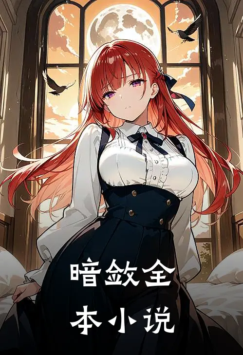 暗敛全本小说