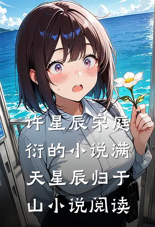 许星辰宋庭衍的小说满天星辰归于山小说阅读