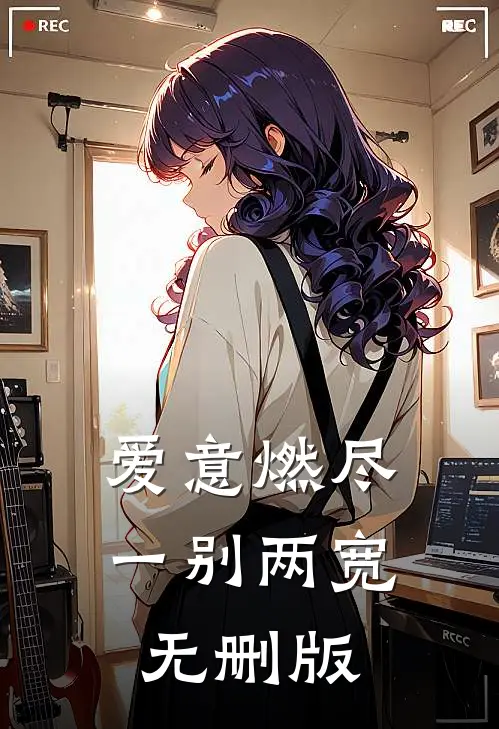 爱意燃尽，一别两宽无删版