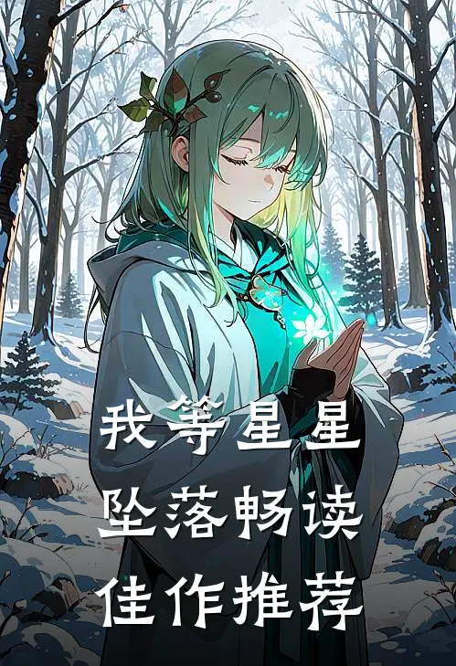 我等星星坠落畅读佳作推荐