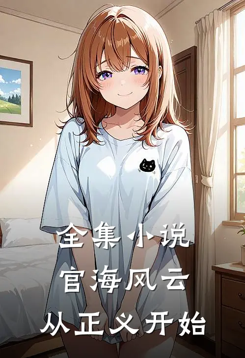 全集小说官海风云：从正义开始