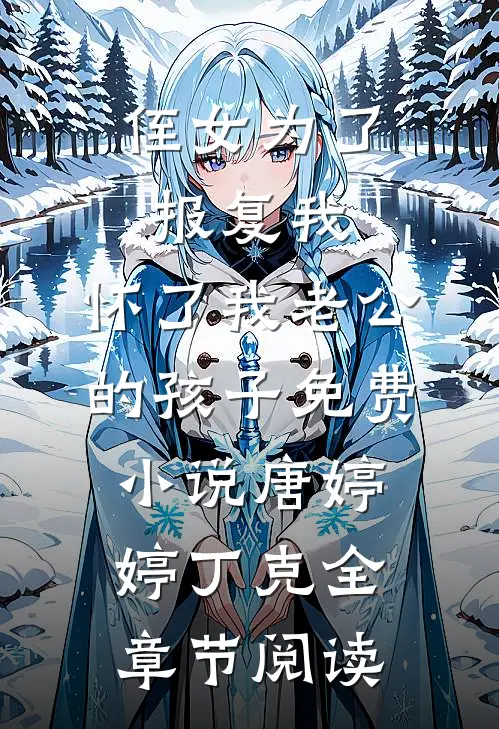 侄女为了报复我，怀了我老公的孩子免费小说唐婷婷丁克全章节阅读