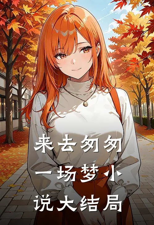来去匆匆一场梦小说大结局