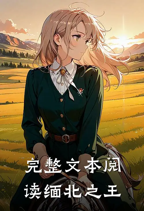 完整文本阅读缅北之王