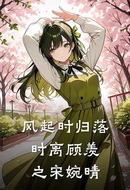 风起时归落时离顾羡之宋婉晴