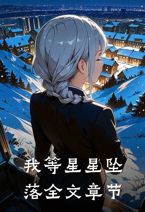 我等星星坠落全文章节