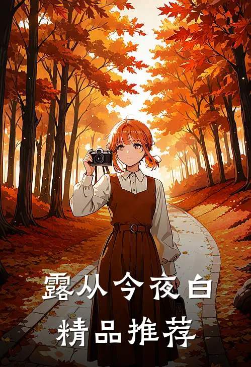 露从今夜白精品推荐