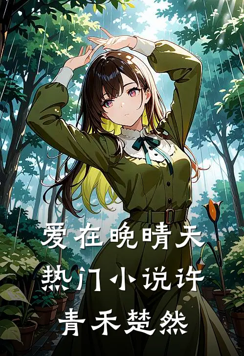 爱在晚晴天热门小说许青禾楚然