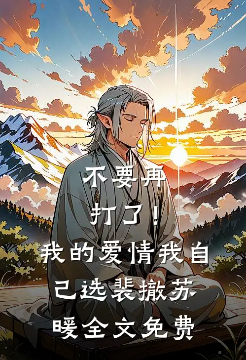 不要再打了！我的爱情我自己选裴撤苏暖全文免费