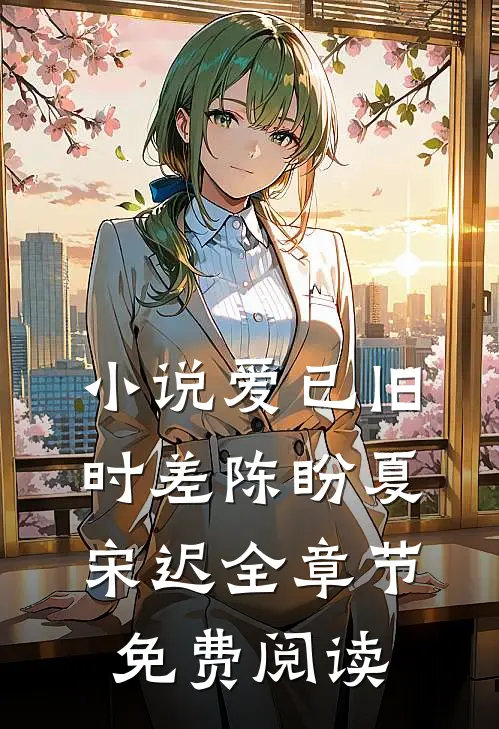 小说爱已旧时差陈盼夏宋迟全章节免费阅读